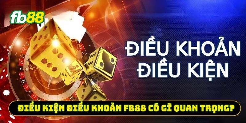 Điều kiện điều khoản FB88 có gì quan trọng?