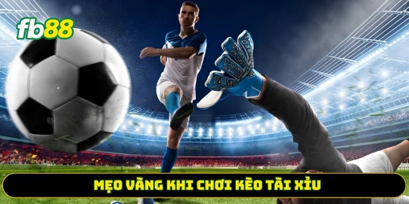 Mẹo vàng khi chơi kèo tài xỉu