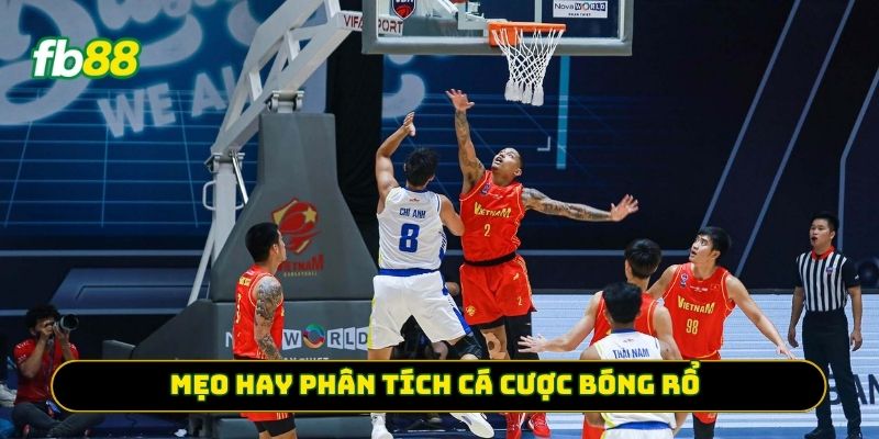 Mẹo hay phân tích Cá Cược Bóng Rổ
